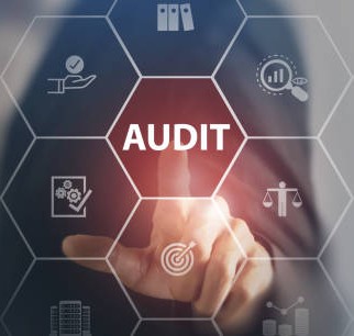 Audit & Accounting